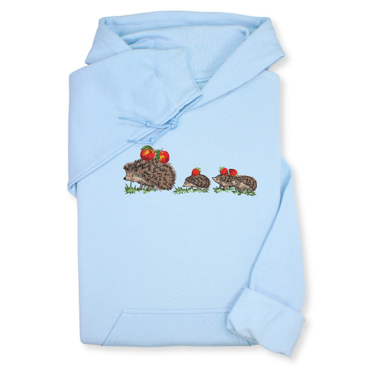 Hedgehog Family Embroidered Hoodie & Sweatshirt – Light Blue Hoodie